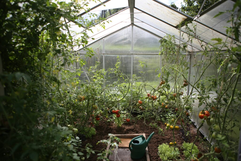 watering can beside plants in a small backyard garden