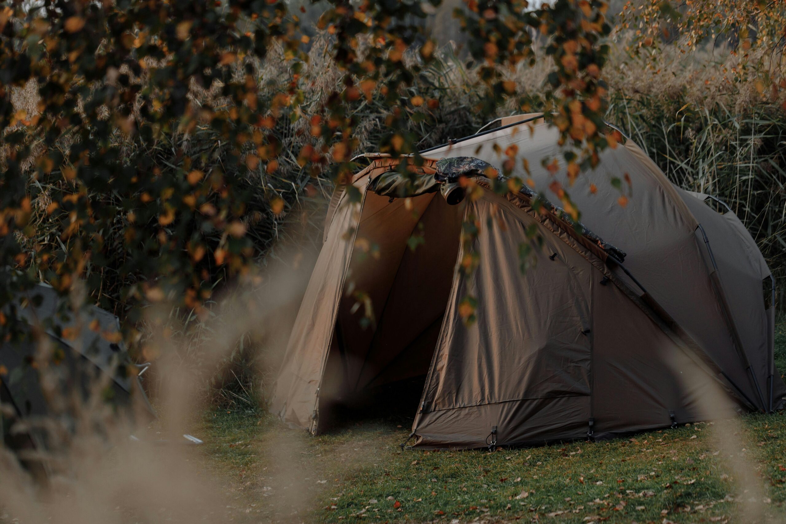 How to Build a Bushcraft Tarp Shelter Cheap: A Step-by-Step Survival Guide