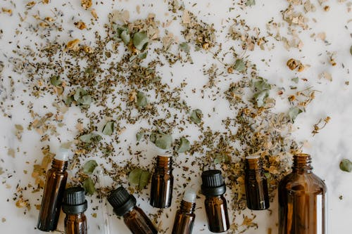 The Self-Sufficient’s Apothecary: 10 Essential Herbs You Need for Your Survival Garden