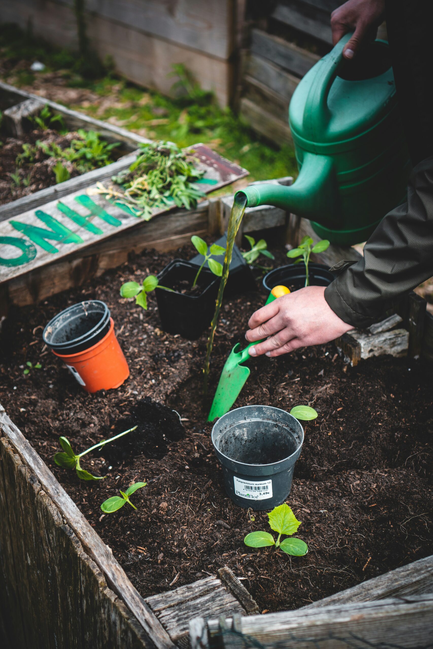 How Do You Build a Self-Sufficient Backyard on a Budget?