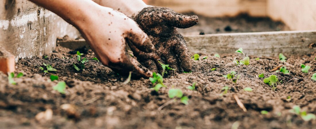 How Do You Start Homesteading With No Money?